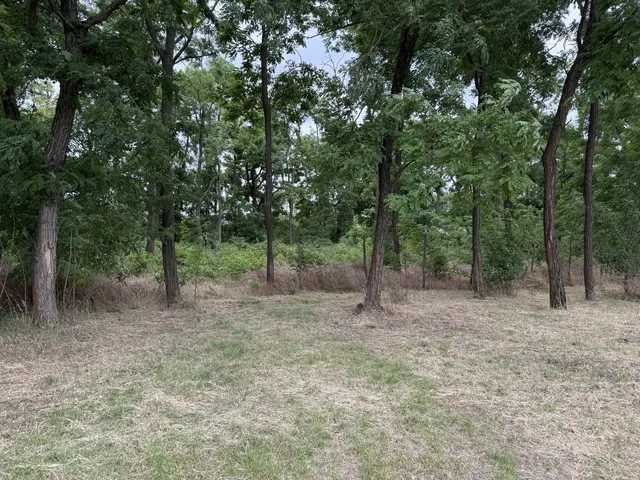 Eladó telek Dabas, Szőlőhegy 850 nm