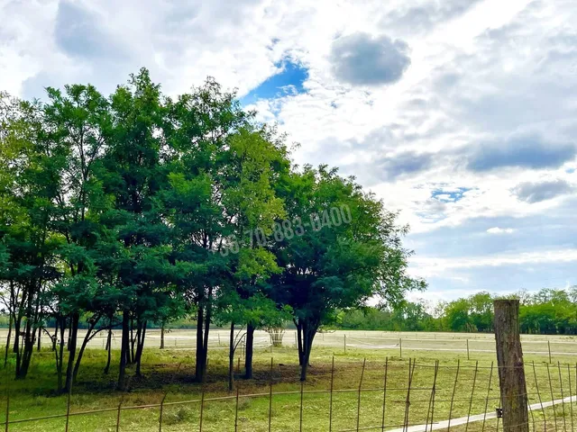 Eladó kereskedelmi és ipari ingatlan Hernád 80 nm