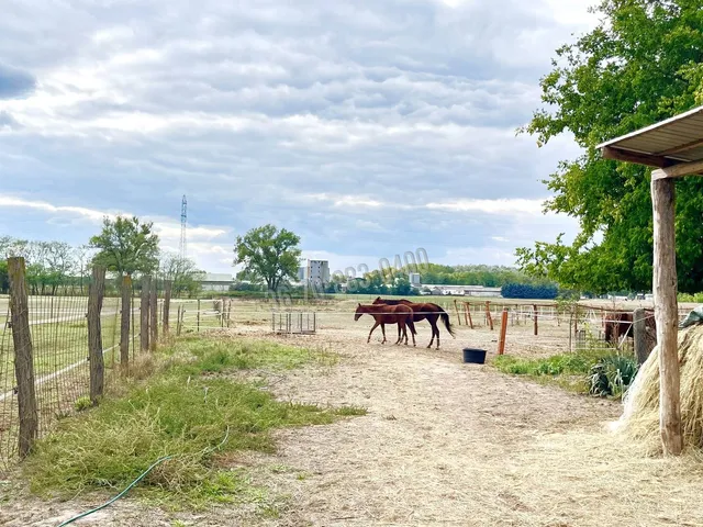 Eladó kereskedelmi és ipari ingatlan Hernád 80 nm