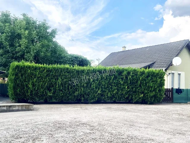 Eladó kereskedelmi és ipari ingatlan Dabas 2063 nm