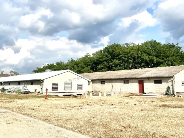 Eladó mezőgazdasági ingatlan Dabas 9000 nm