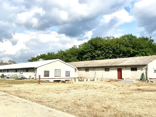 Eladó mezőgazdasági ingatlan Dabas 9000 nm