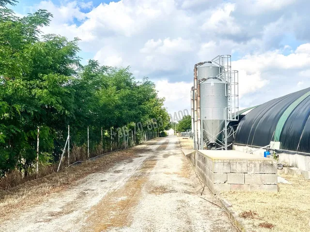 Eladó mezőgazdasági ingatlan Dabas 9000 nm