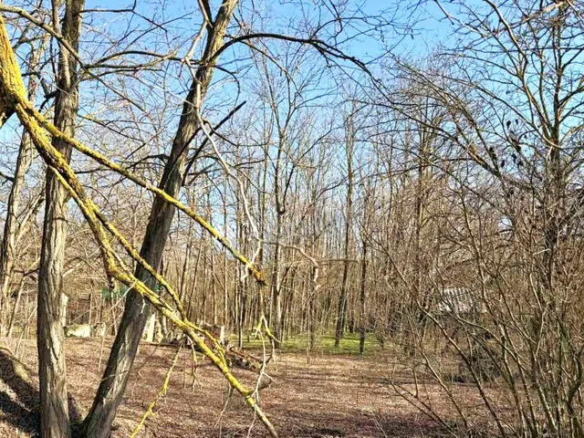 Eladó telek Dabas 1219 nm