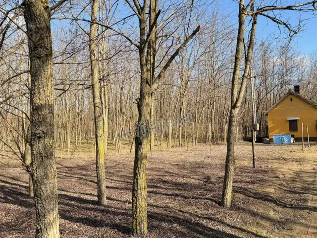 Eladó ház Dabas 50 nm