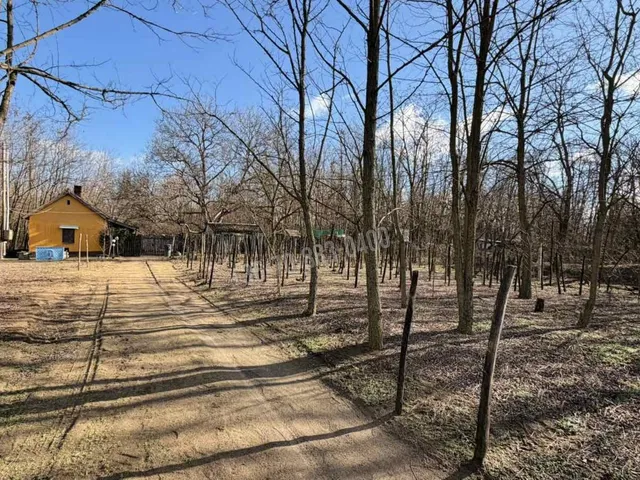 Eladó ház Dabas 50 nm