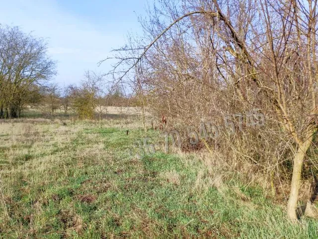 Eladó telek Inárcs 2394 nm