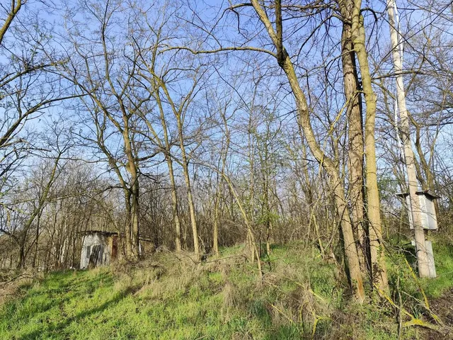 Eladó telek Inárcs, Fecske utca 2394 nm