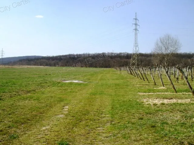 Eladó mezőgazdasági ingatlan Budakeszi 27019 nm