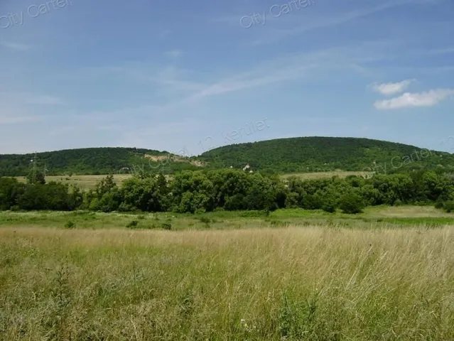 Eladó mezőgazdasági ingatlan Budakeszi 1393 nm