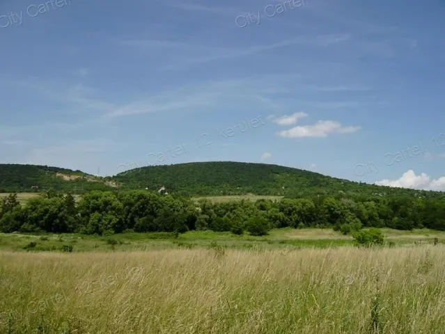 Eladó mezőgazdasági ingatlan Budakeszi 1392 nm