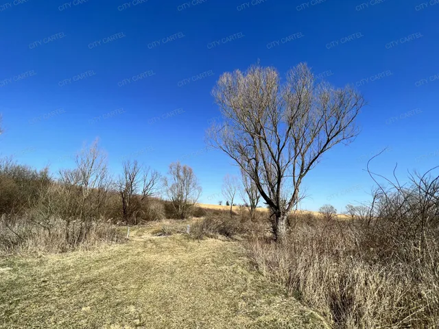 Eladó mezőgazdasági ingatlan Bisse 800000 nm