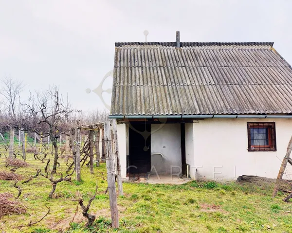 Eladó mezőgazdasági ingatlan Bölcske 11978 nm