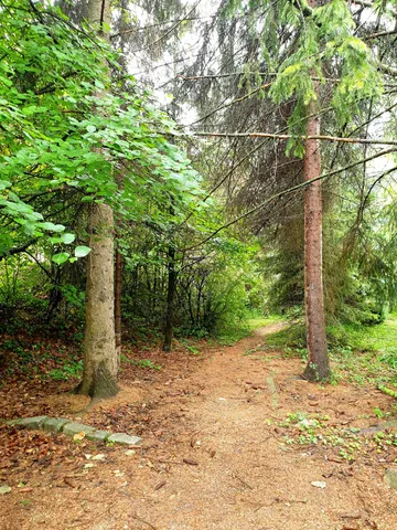 Eladó telek Budakeszi, Máriamakk 2972 nm