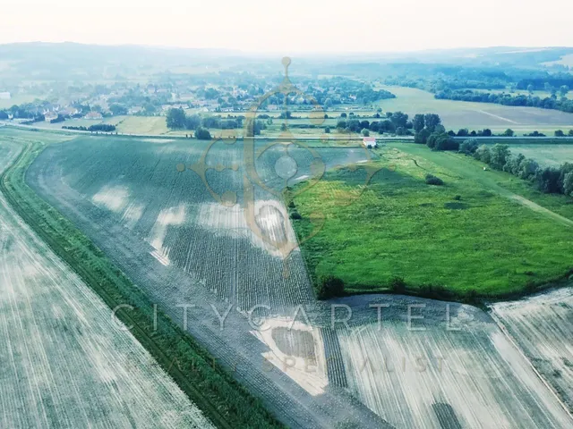 Eladó mezőgazdasági ingatlan Zalacsány 116000 nm