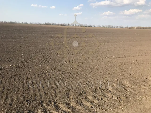 Eladó mezőgazdasági ingatlan Tótkomlós 284200 nm