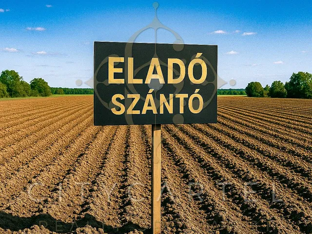 Eladó mezőgazdasági ingatlan Tótkomlós 284200 nm