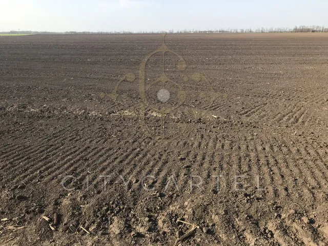 Eladó mezőgazdasági ingatlan Tótkomlós 284200 nm