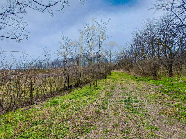 Eladó telek Bölcske 2345 nm