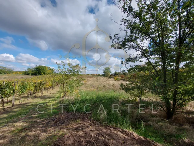 Eladó telek Bölcske 2346 nm