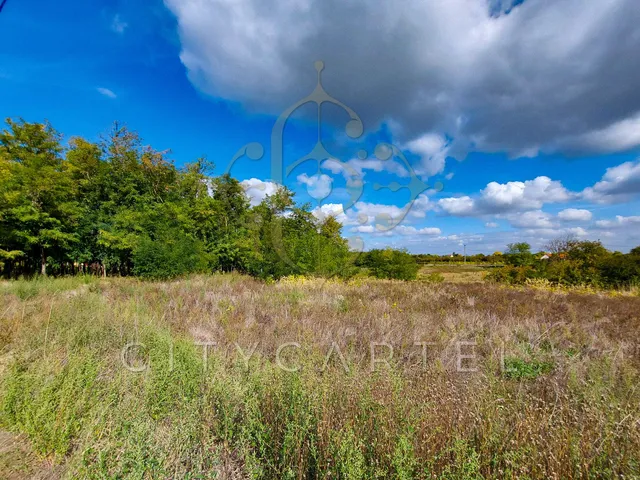 Eladó telek Bölcske 2893 nm