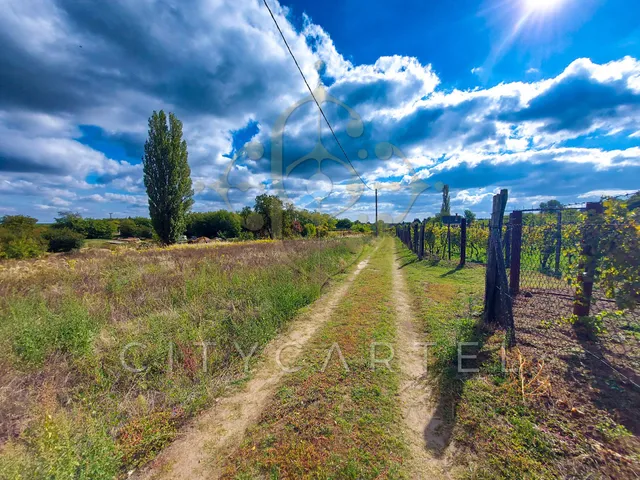 Eladó telek Bölcske 2893 nm