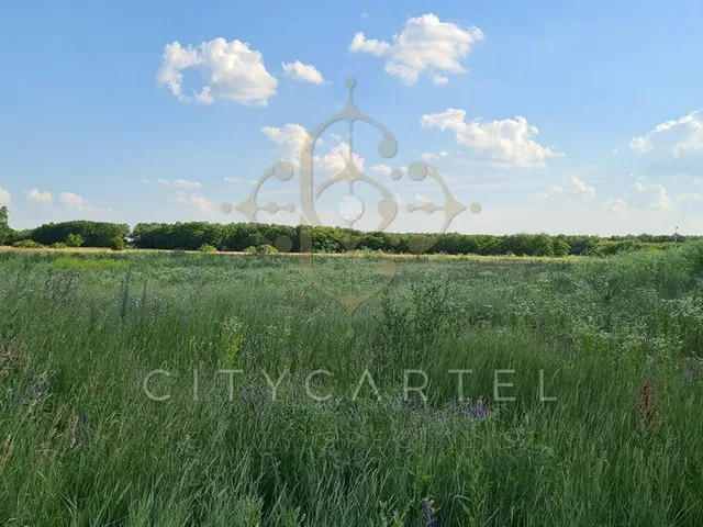 Eladó telek Vecsés 13183 nm