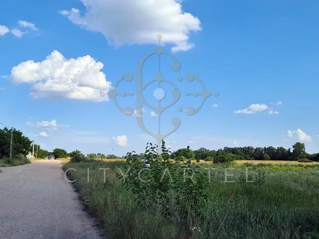 Eladó telek Vecsés 13183 nm