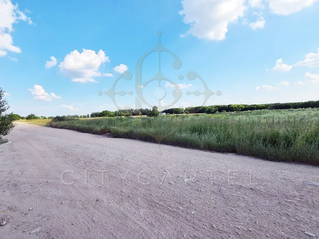 Eladó telek Vecsés 13183 nm