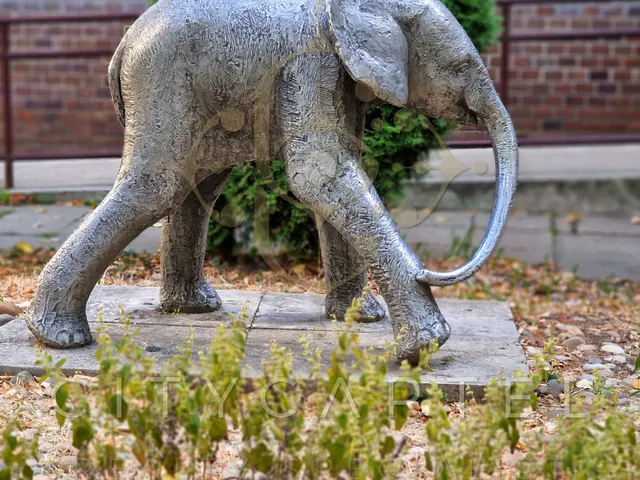 Kiadó lakás Budapest XI. kerület, Bogdánfy utca 37 nm