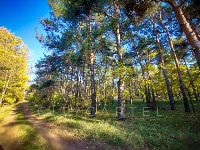 Eladó mezőgazdasági ingatlan Papkeszi 6835 nm