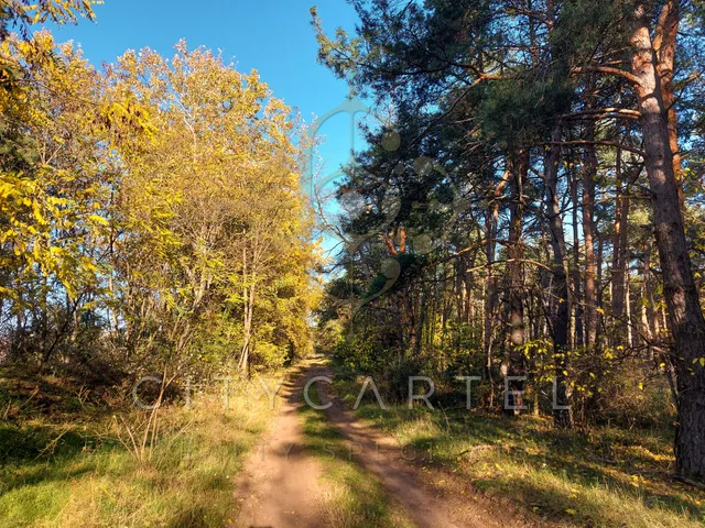 Eladó mezőgazdasági ingatlan Papkeszi 6835 nm