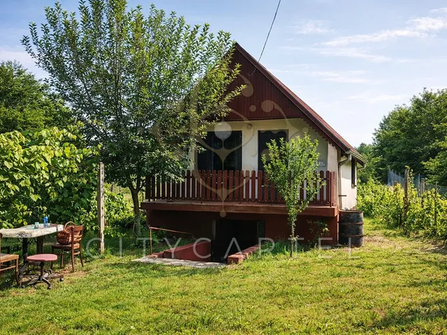 Eladó üdülő és hétvégi ház Solt 50 nm