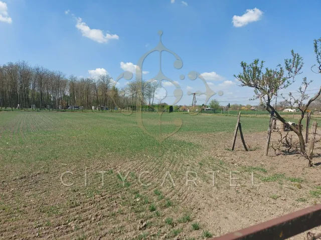 Eladó telek Solt 1800 nm