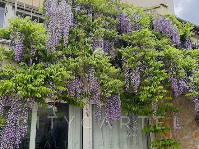 Eladó ház Budapest II. kerület, Pálvölgy 270 nm