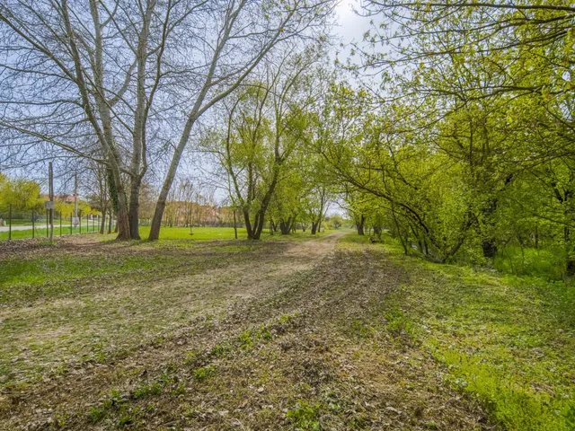 Eladó telek Őrbottyán 41190 nm