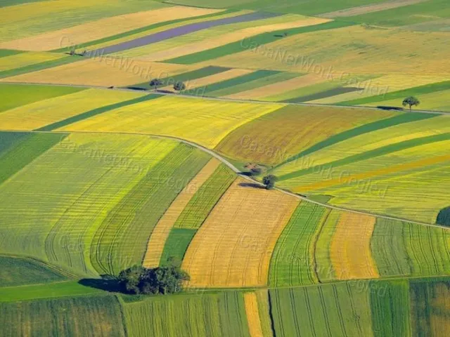 Eladó mezőgazdasági ingatlan Lajosmizse 120000 nm