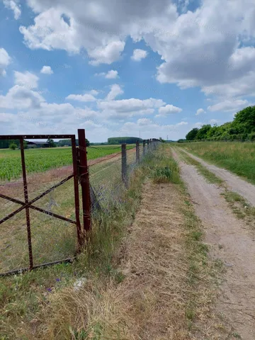 Eladó mezőgazdasági ingatlan Albertirsa 113808 nm