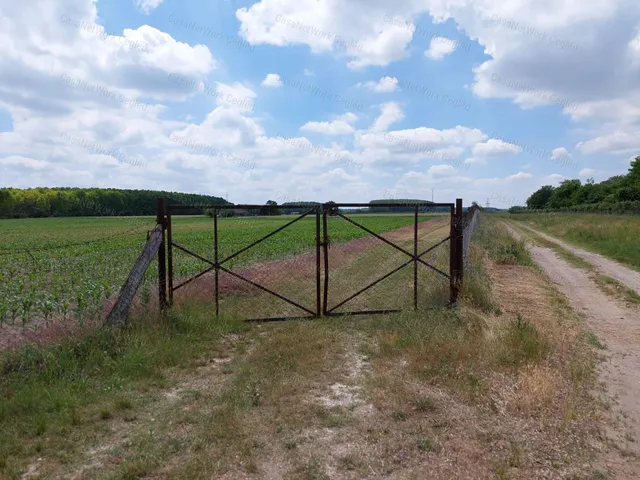 Eladó mezőgazdasági ingatlan Albertirsa 113808 nm