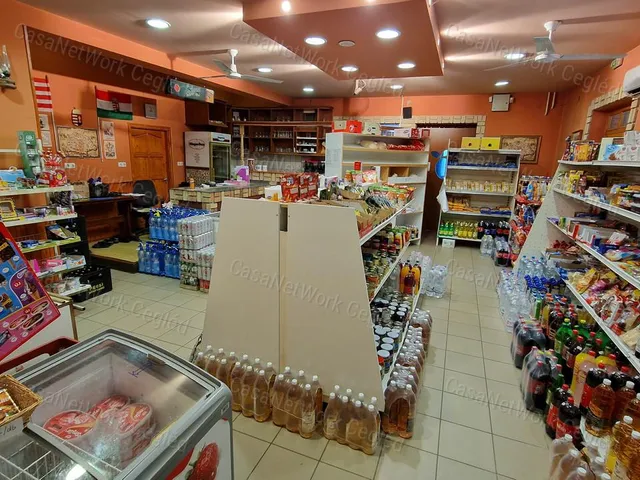 Eladó ház Újszilvás 310 nm