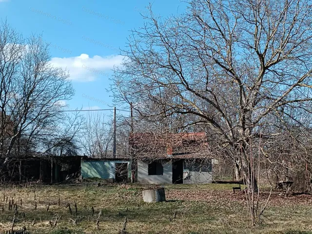 Eladó mezőgazdasági ingatlan Cegléd 1437 nm