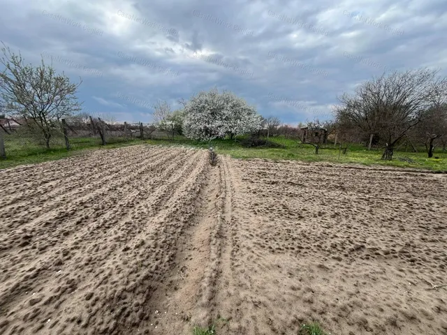Eladó telek Cegléd 2158 nm