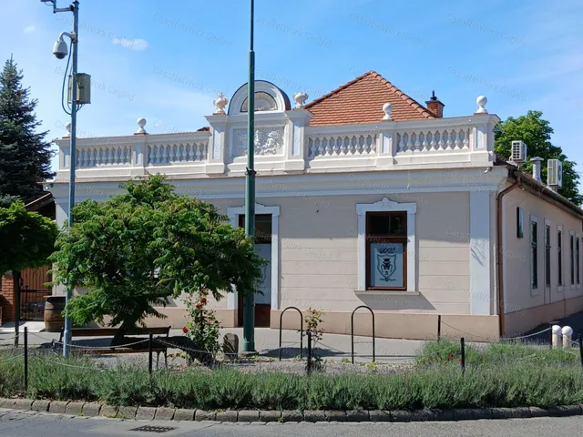 Eladó kereskedelmi és ipari ingatlan Cegléd 350 nm