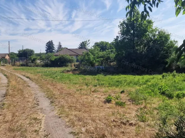 Eladó mezőgazdasági ingatlan Cegléd 2197 nm