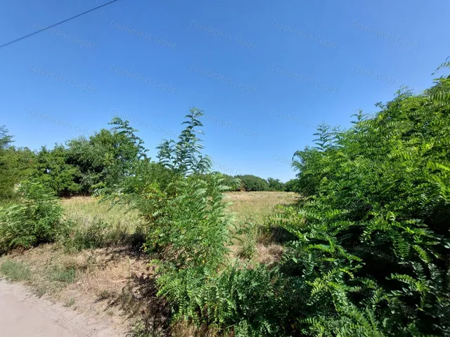 Eladó telek Cegléd 5167 nm