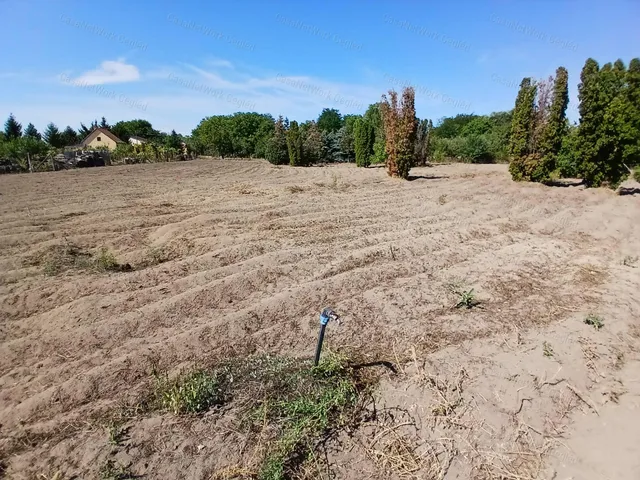 Eladó mezőgazdasági ingatlan Cegléd 4181 nm