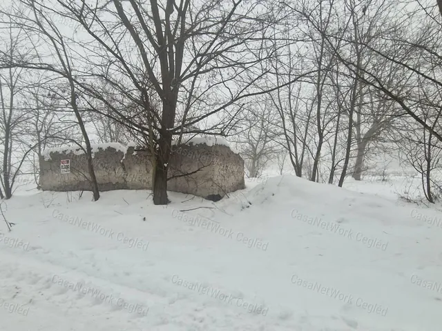 Eladó mezőgazdasági ingatlan Cegléd 2877 nm