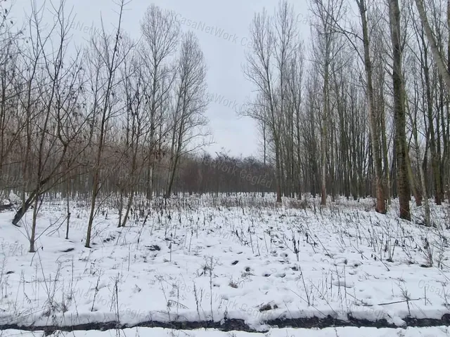 Eladó mezőgazdasági ingatlan Cegléd 2877 nm