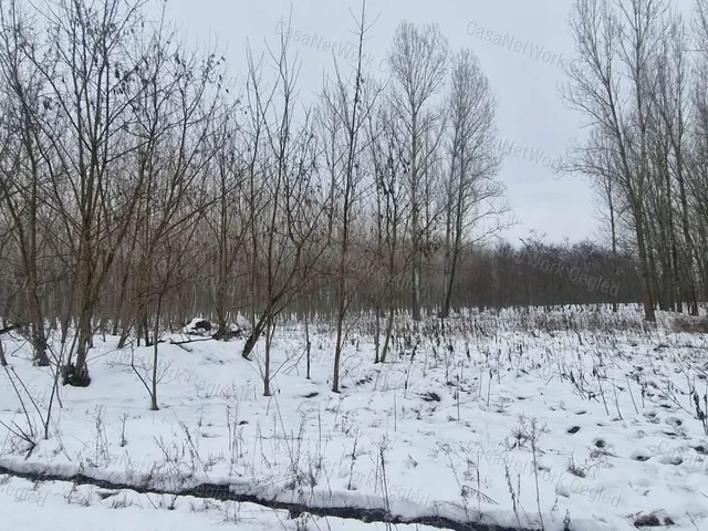 Eladó mezőgazdasági ingatlan Cegléd 2877 nm