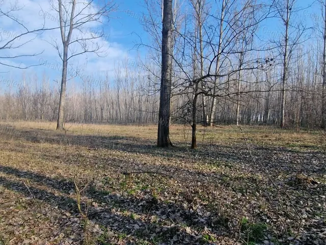 Eladó mezőgazdasági ingatlan Cegléd 2877 nm